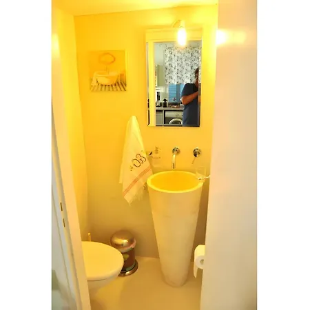 Apartment Psathi Seaview House *